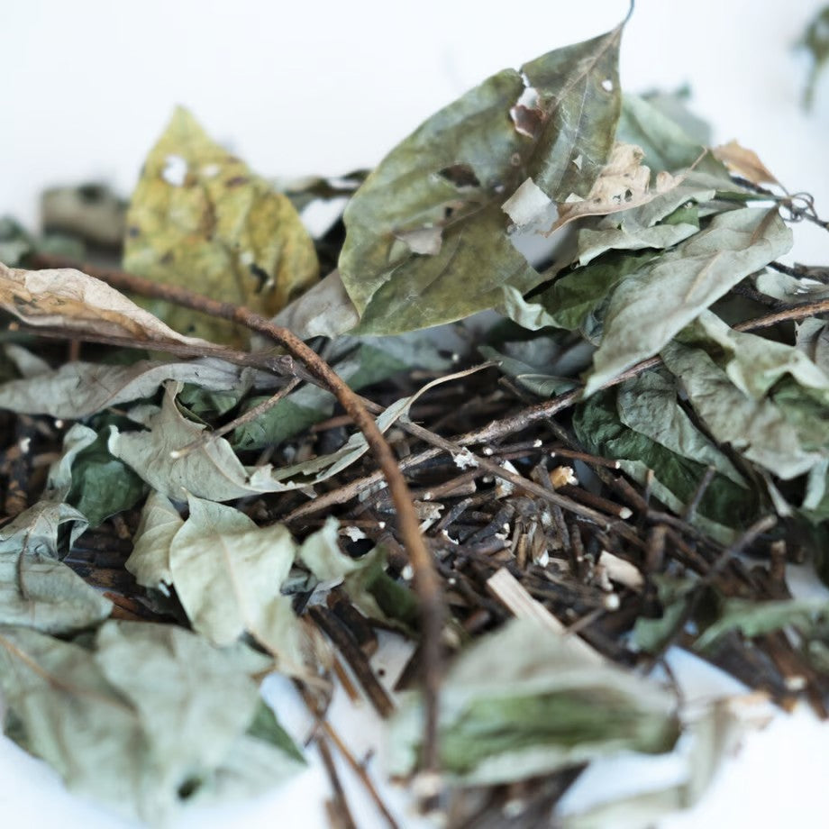 エッセンシャルオイル クロモジ