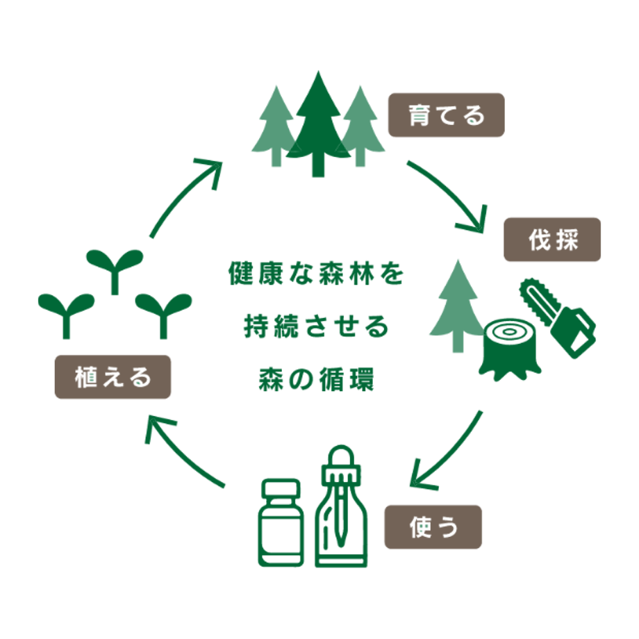 エッセンシャルオイル スギ