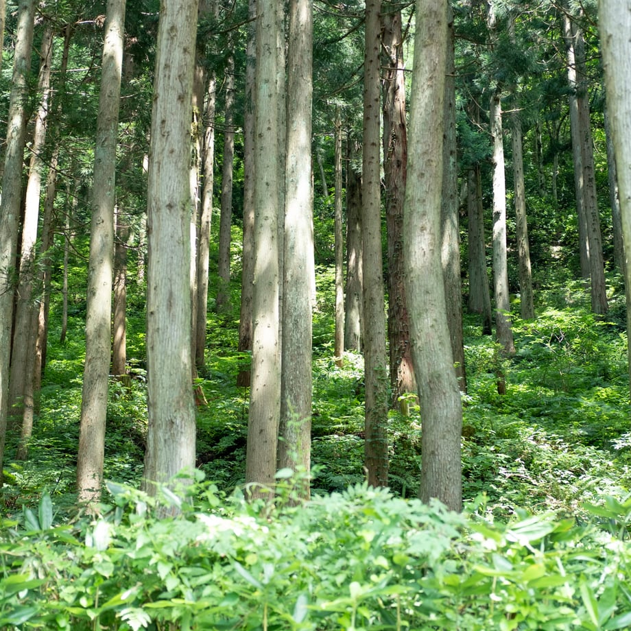 アロマスプレー(07 DEODRANT)