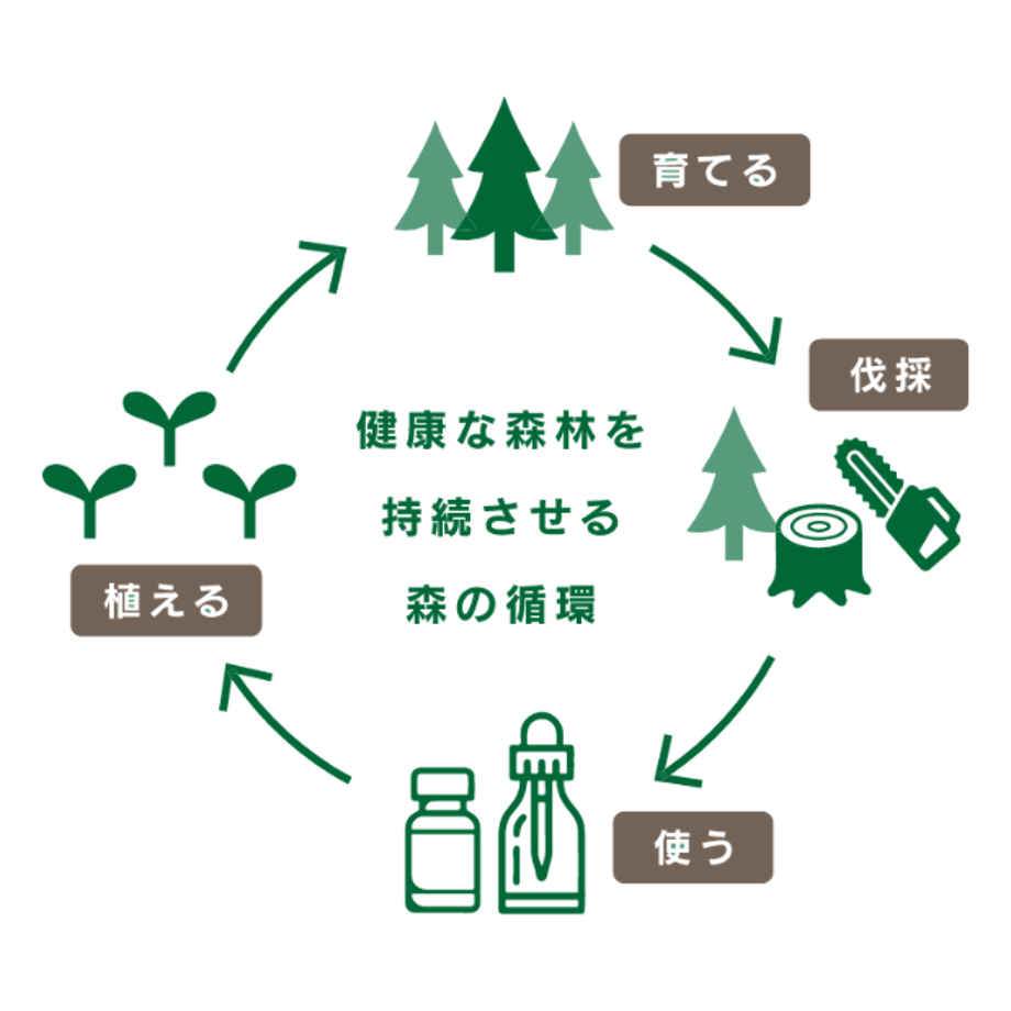 エッセンシャルオイル ヒバ