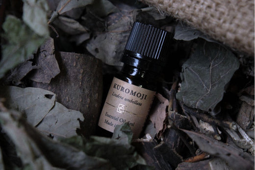 【サスティナビリティ】クロモジ：林業の邪魔者から精油、地域の新たな魅力の誕生へ