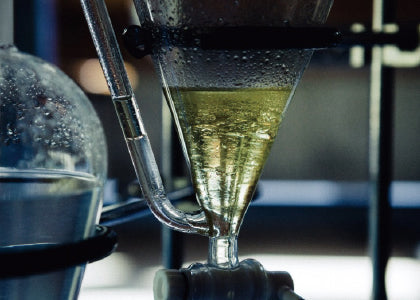 【御礼】ご支援のお礼とご報告