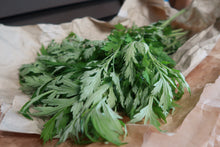 【予約販売】芳香蒸留水（ハイドロゾル） ヨモギ