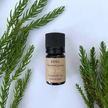 Cedar Essential Oil