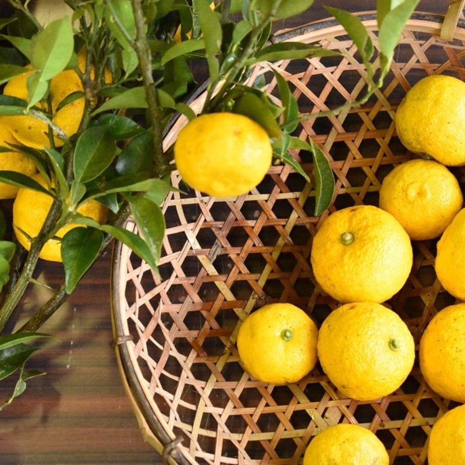Aromatic distilled water (hydrosol) Yuzu